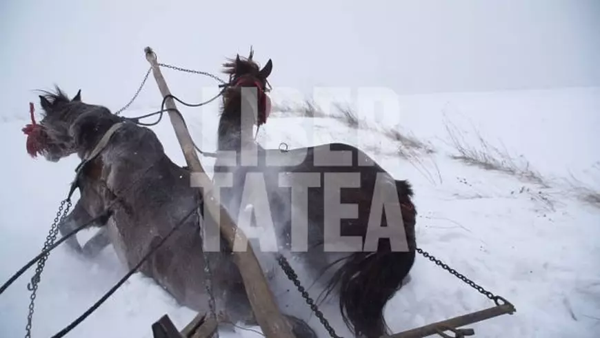 Un sat din Botoșani a fost izolat de zăpadă