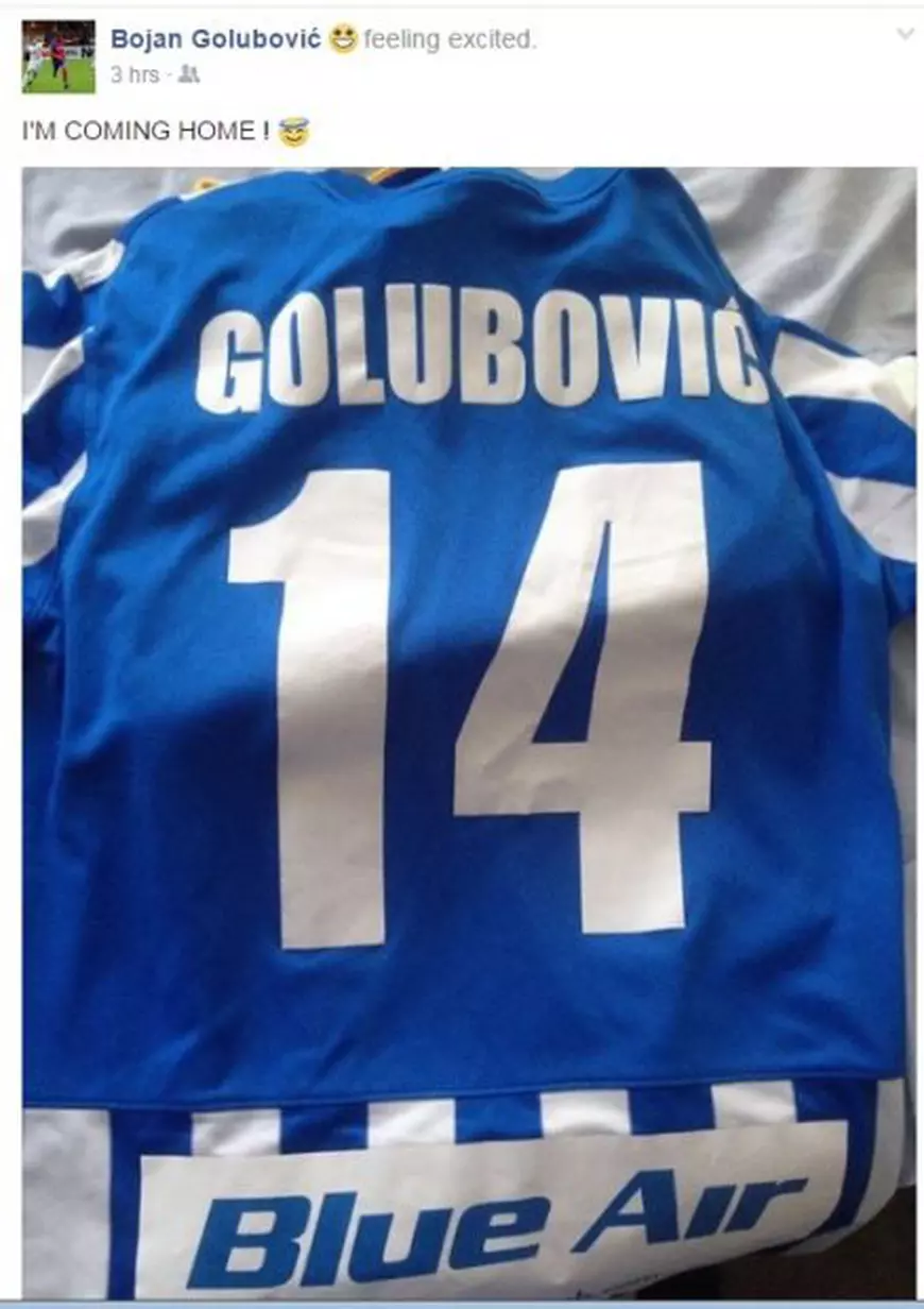 Mesajul lui Golubovici