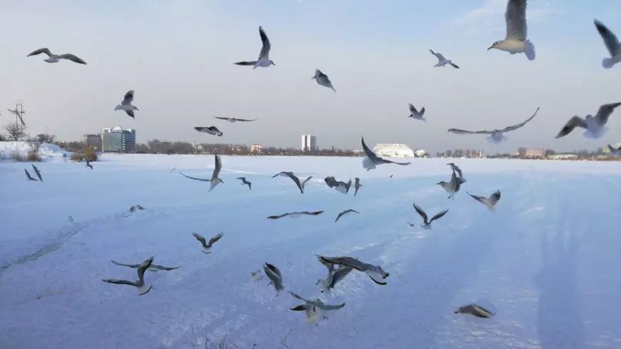 Lacul Tăbăcărie din Constanța a înghețat