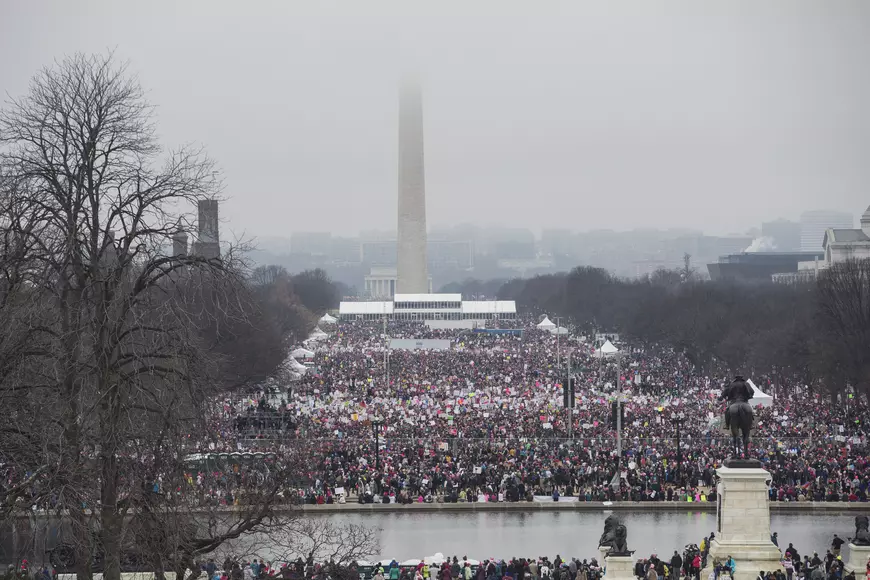 Women's March in Washington DC
