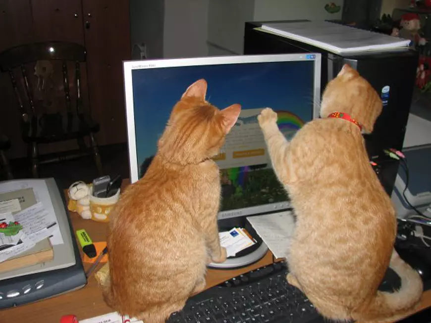 UPDATE / Muzeul Brukenthal este al României... și nu prea. Primul muzeu deschis pe teritoriul țării noastre aniversează, cu scandal, 200 de ani. Ce a declarat Iohannis