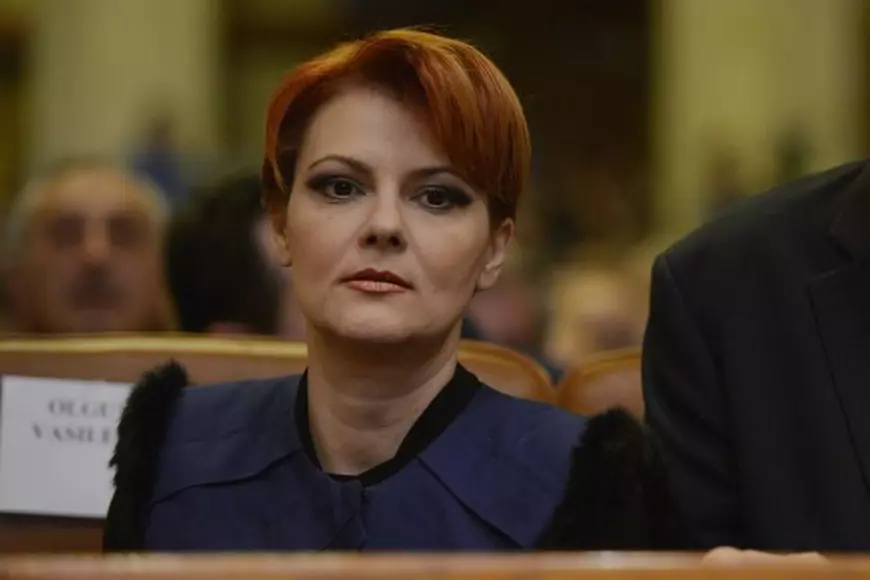Olguța Vasilescu, reacție după proteste