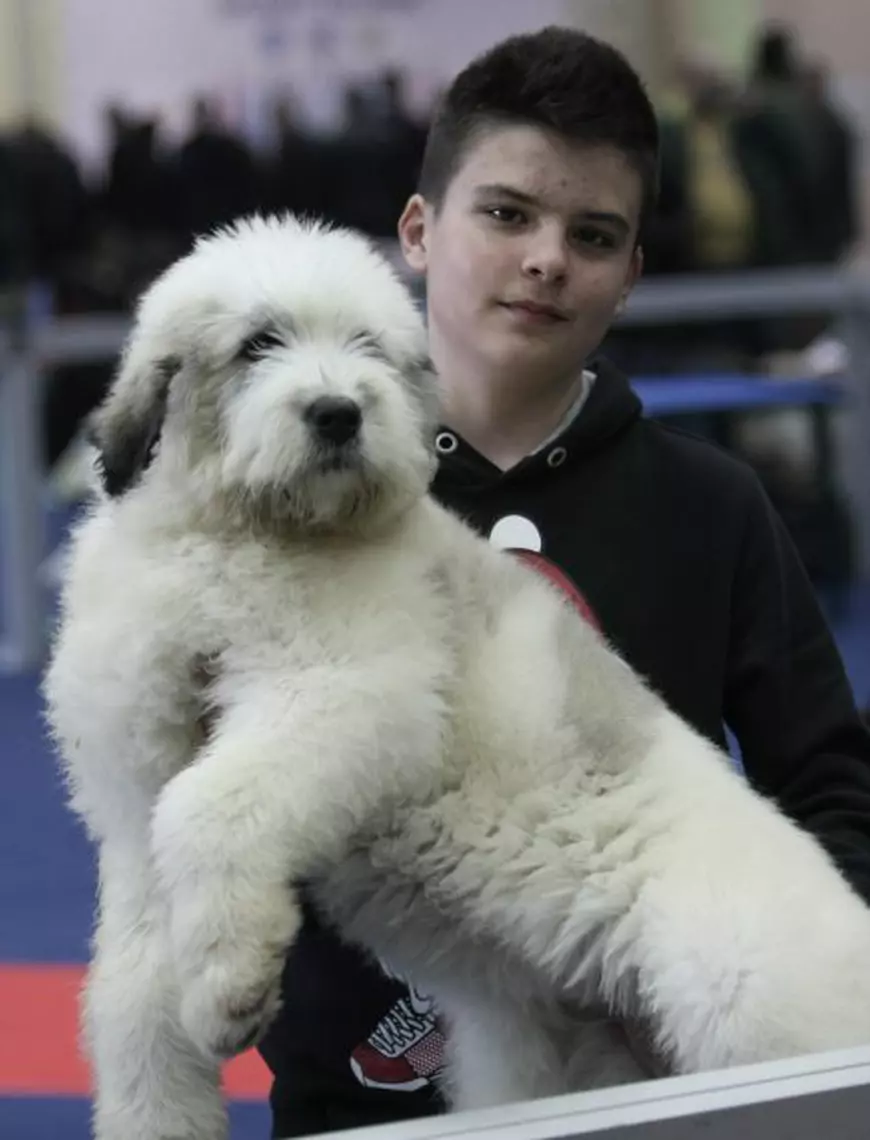 cele mai frunmoase animale s-au reunit la târgul de la Romexpo