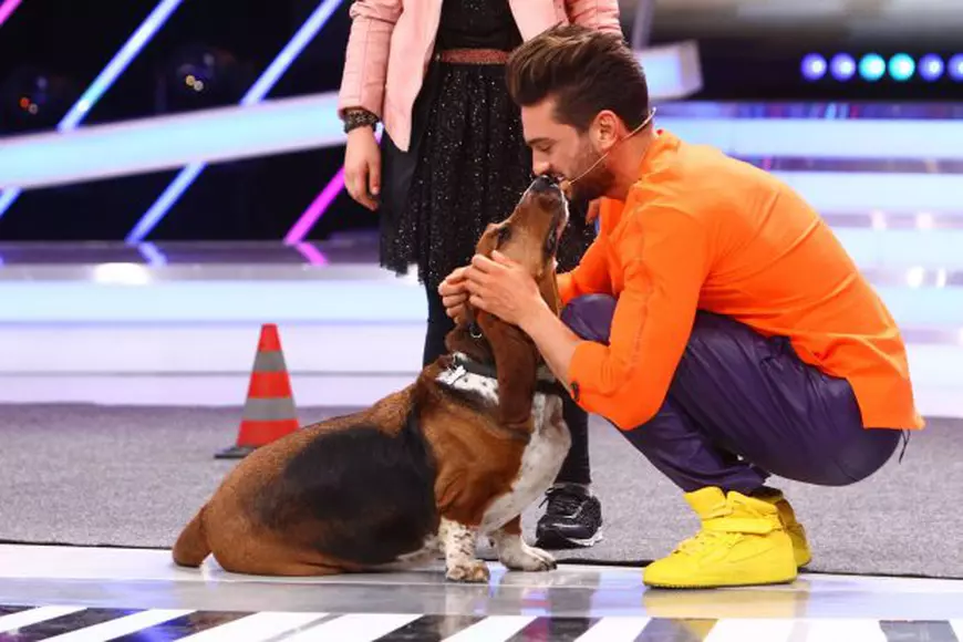 Un cățel a făcut senzație în platoul Next Star. Dorian Popa, cucerit definitiv