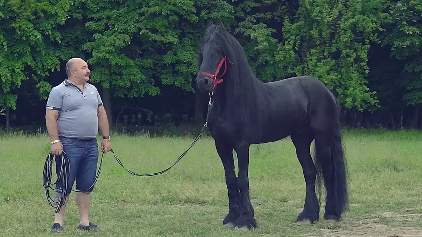 EXCLUSIV/ Interlop cu drag de celebritate! Nuțu Cămătaru, vedetă într-un videoclip de maximă audiență