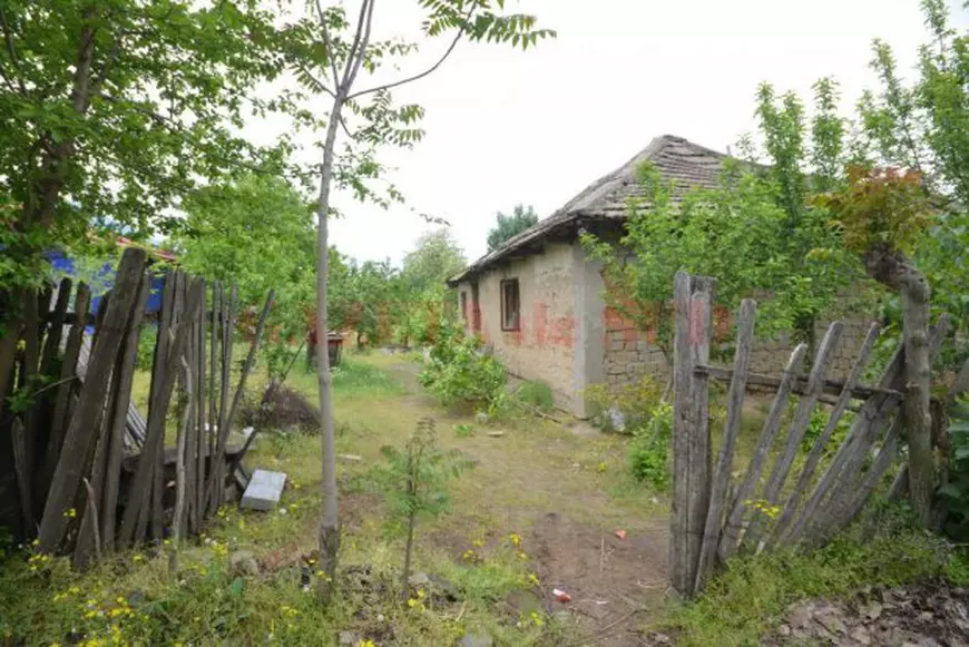 îngropați cu excavatorul la cererea primarului