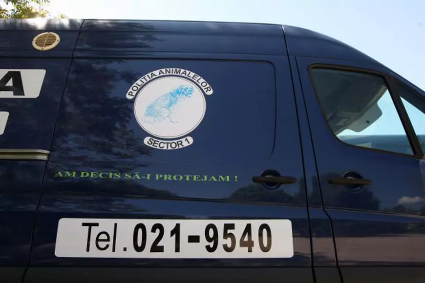 Poliția necuvântătoarelor: Dacă îți chinui animalul de companie riști 3 ani de pușcărie