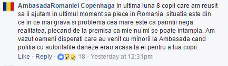 EXCLUSIV. Mesaj alarmant al Secției Consulare a României în Danemarca pentru părinții români. Învățați să recunoască semnele că vor rămâne fără copii; Ce spune MAE