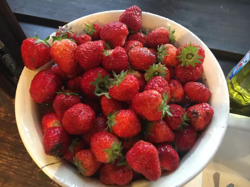 Mirela Oprisor capsune