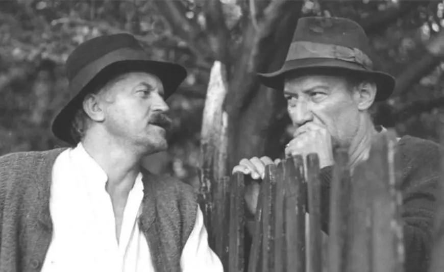 Dorel Vișan în Moromeții