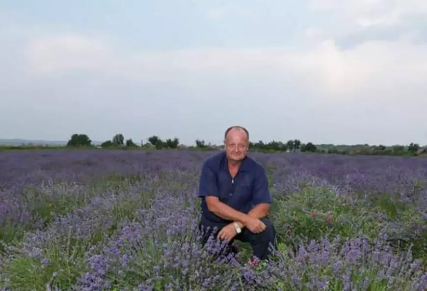 Culturile exotice câștigă teren în România. Afaceri de nișă cu șofran, năut sau goji