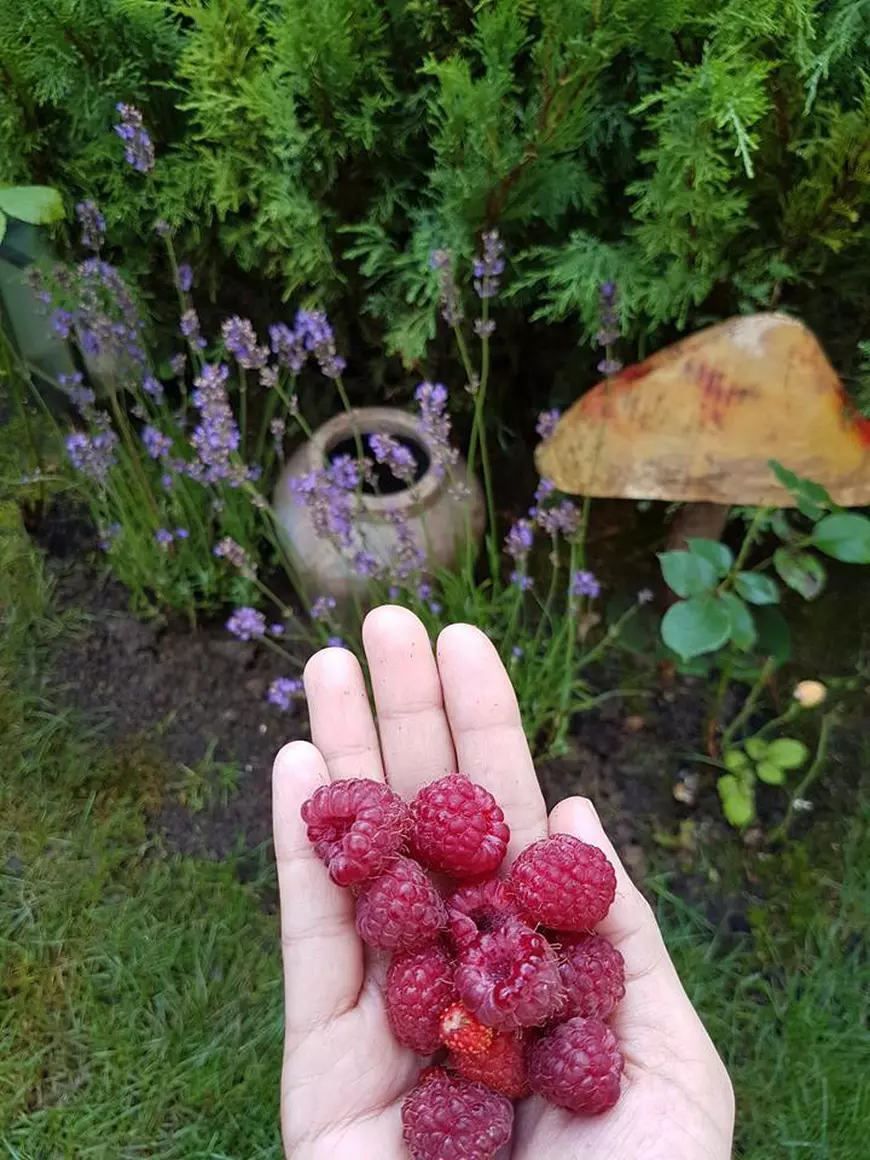 Andreea Marin a luat cursuri ca să știe să gătească. Vedeta s-a destăinuit