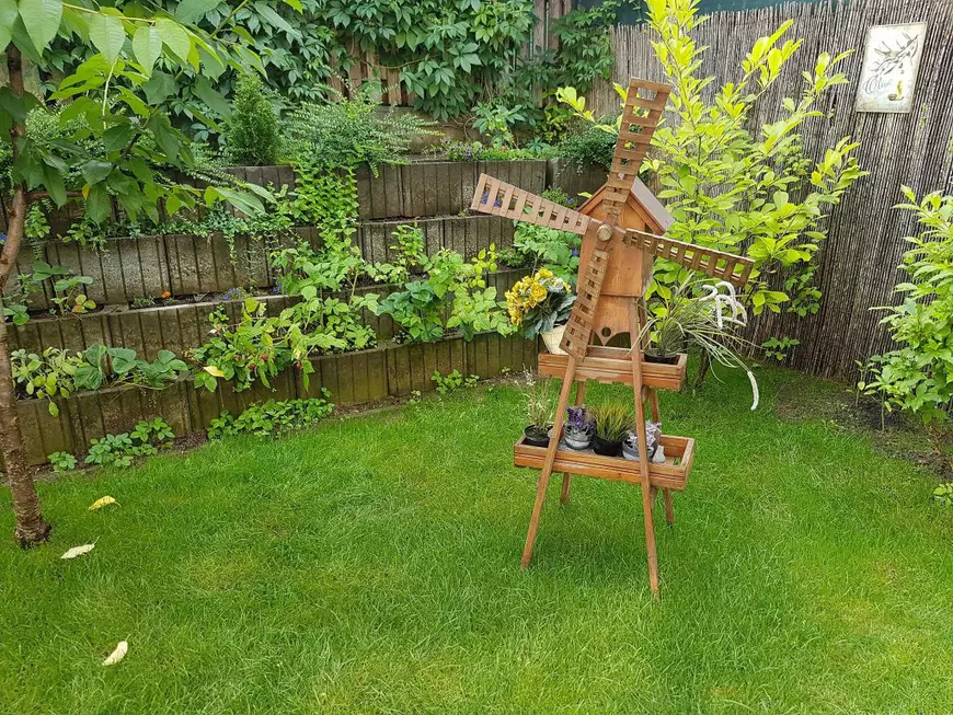 Andreea Marin a luat cursuri ca să știe să gătească. Vedeta s-a destăinuit