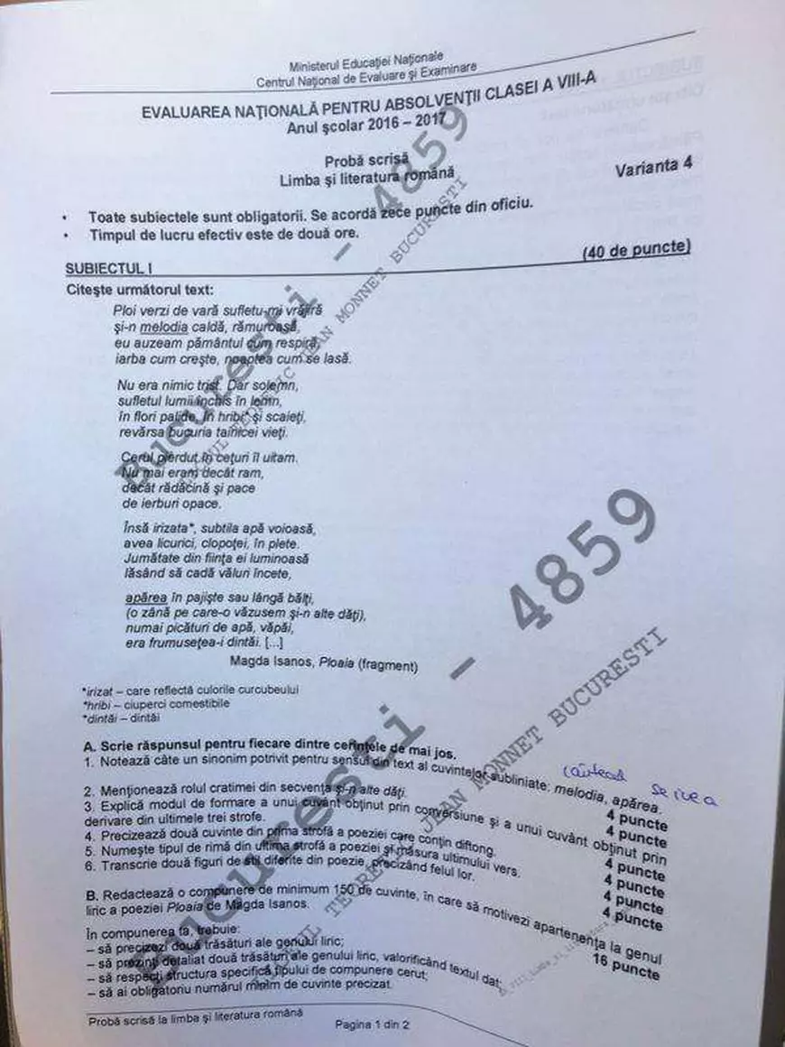 VIDEO: Rezolvarea subiectelor la Evaluarea Națională la Română