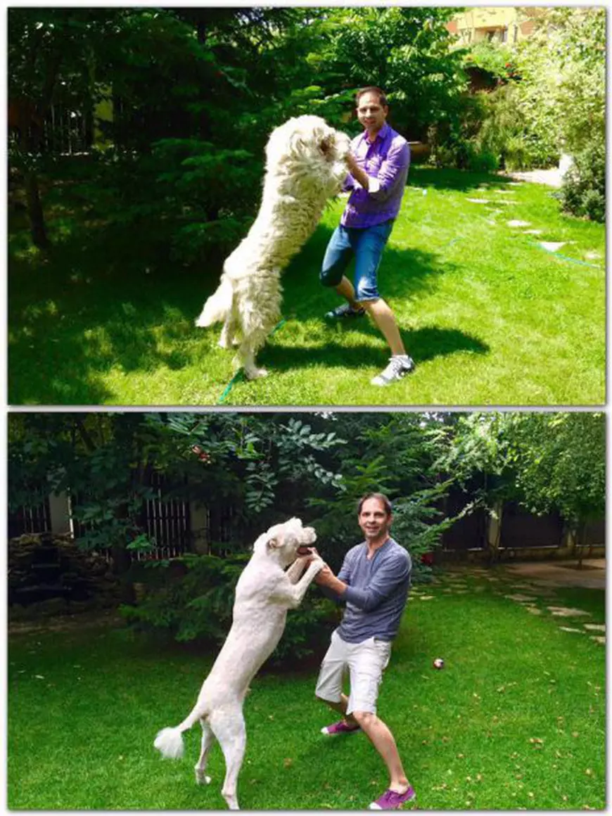 Dan Negru și-a tuns câinele. Fanii s-au amuzat copios după ce au văzut rezultatul