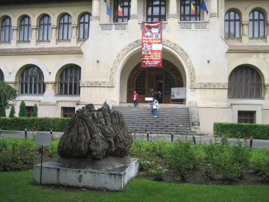 EXCLUSIV. Concursuri despre dinozauri, pentru copii, cu premii vechi de 12 milioane de ani. Ce se întâmplă la Muzeul de Geologie