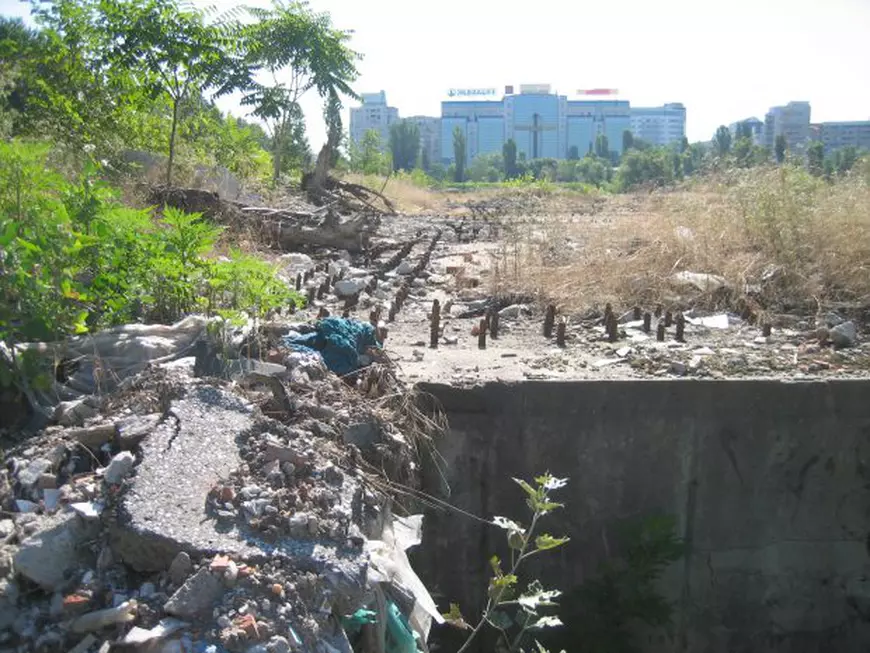 EXCLUSIV. Afacerea “Cântarea României” din centrul Bucureștiului: 74 de milioane de euro, dați pe… corcoduşe