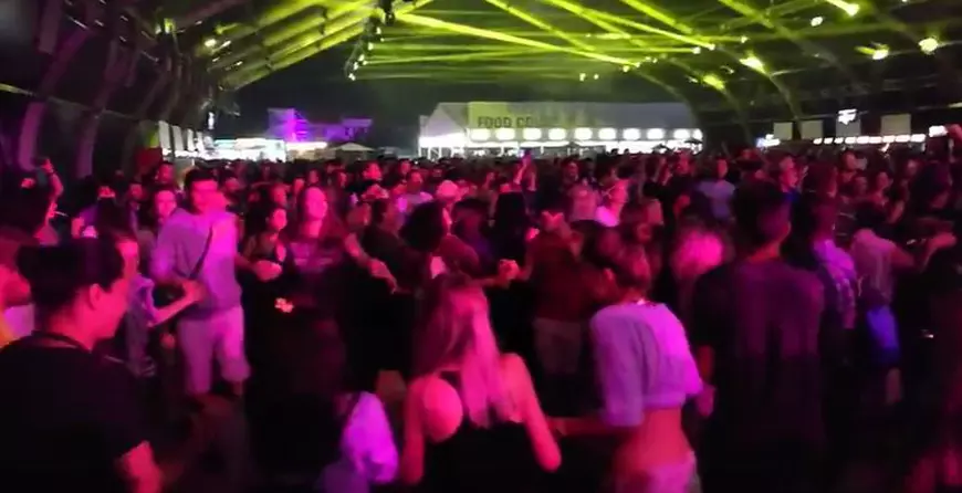 VIDEO/ Mirabela Dauer și Corina Chiriac au făcut show la Electric Castle