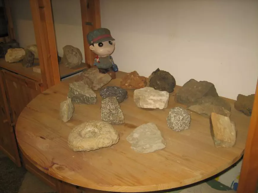 EXCLUSIV. Concursuri despre dinozauri, pentru copii, cu premii vechi de 12 milioane de ani. Ce se întâmplă la Muzeul de Geologie