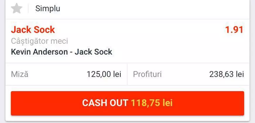 Cota zilei din tenis - Kevin Anderson vs Jack Sock