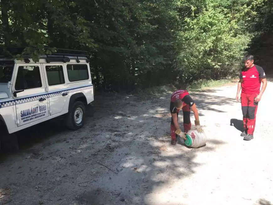 Viperă prinsă în Muzeul Tezaurului BNR din Tismana