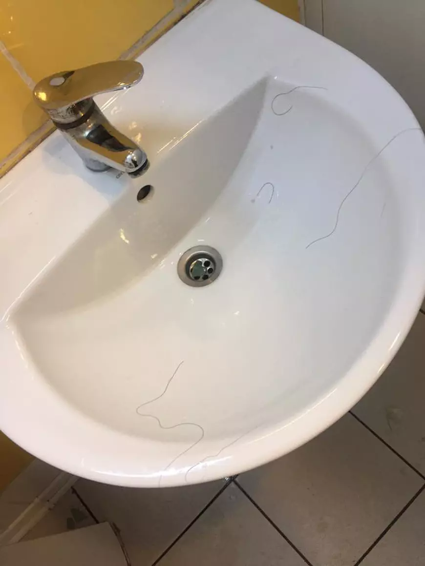 Denisa de la Bambi, enervată la culme. Ce a găsit într-o toaletă publică a îngrozit-o