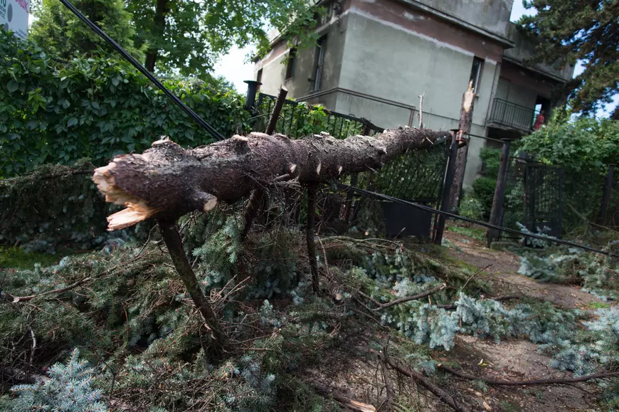 Furtuni violente în Polonia, soldate cu cinci morți. Zeci de copii dintr-o tabără de cercetași au fost răniți