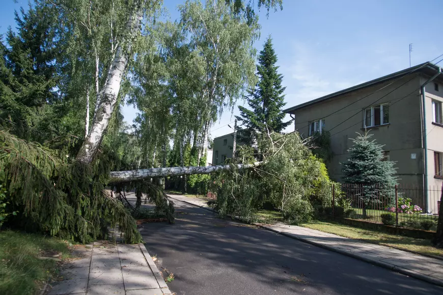 Furtuni violente în Polonia, soldate cu cinci morți. Zeci de copii dintr-o tabără de cercetași au fost răniți