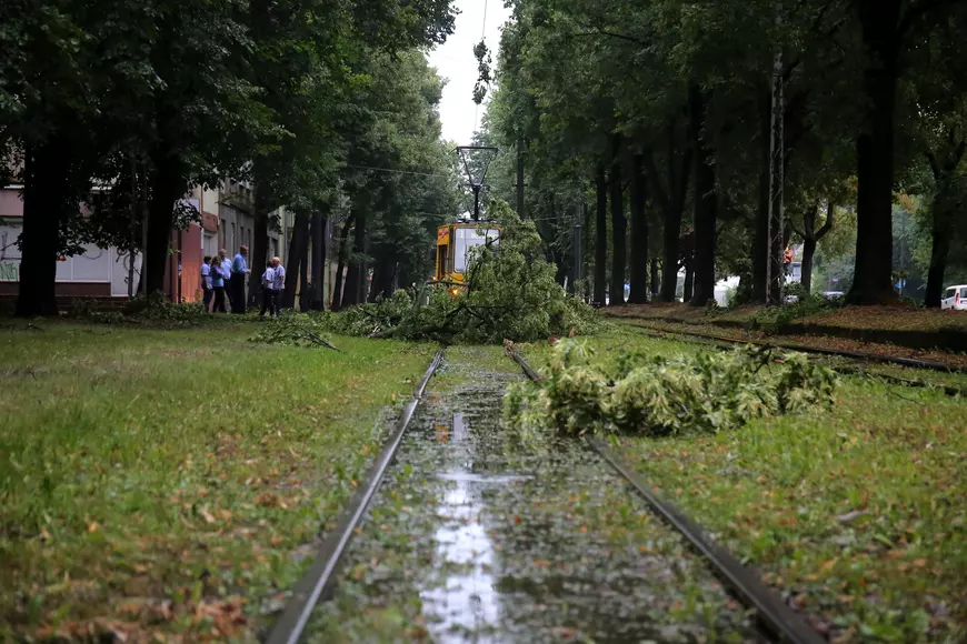 Furtuni violente în Polonia, soldate cu cinci morți. Zeci de copii dintr-o tabără de cercetași au fost răniți