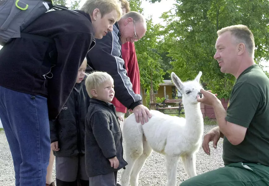 Un tânăr de 24 de ani are în grijă nu mai puțin de ... 600 de animale