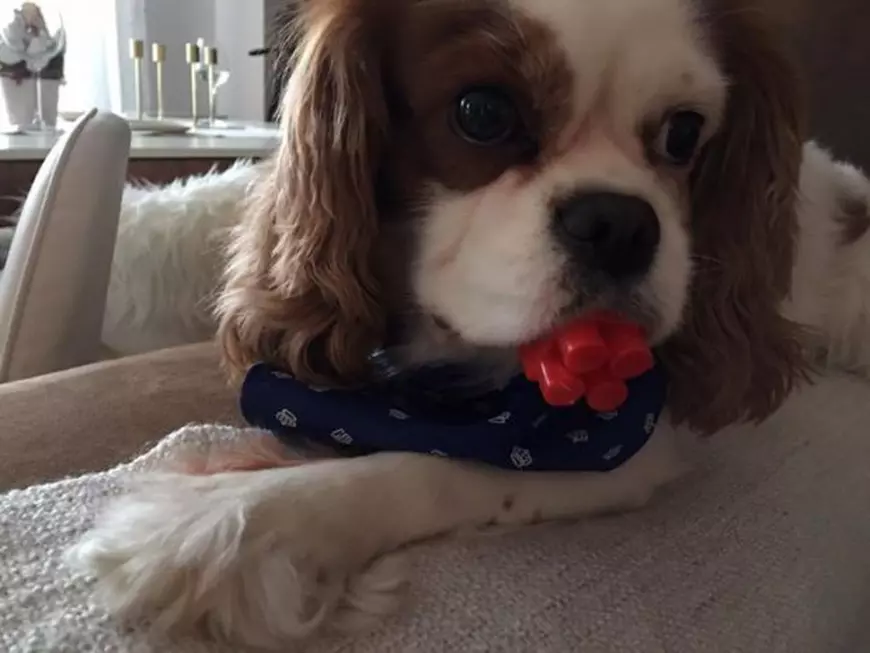 Sore a făcut anunțul cu lacrimi în ochi. “Postez pe net ca să îmi descarc din tristețe”