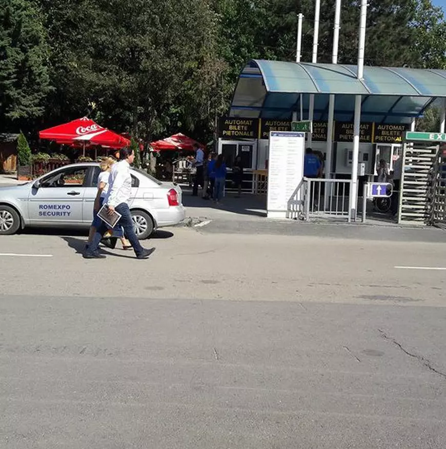 Program de duminică. Andreea Esca și Alexandre Eram au căutat comori printre ”vechituri”!