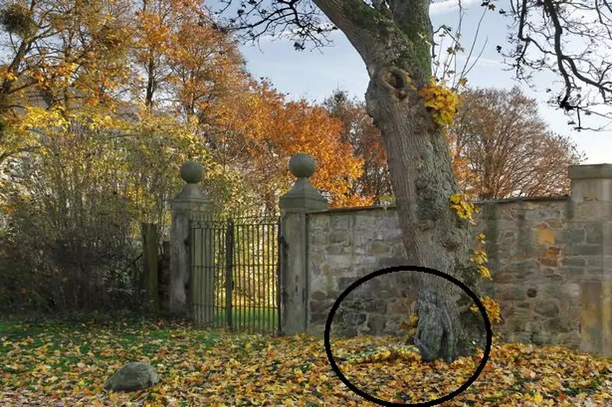 Iluzia optică ce a pus internetul pe jar. Poți vedea femeia goală din imagine?