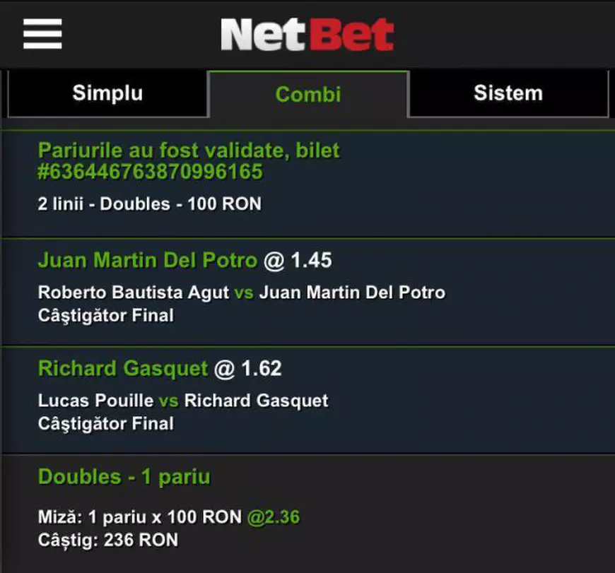 Biletul zilei din tenis, 27 octombrie. Miza pe Del Potro