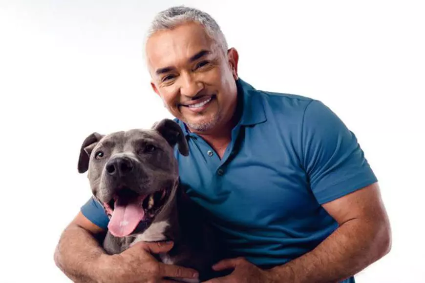 Dresorul Mihai Nae va face cursuri cu Cesar Millan