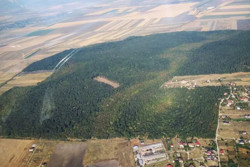 Un hectar dintr-o pădure cândva parte din Codrii Vlăsiei, ras complet. Terenul, folosit probabil în afaceri imobiliare