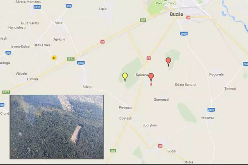 Un hectar dintr-o pădure cândva parte din Codrii Vlăsiei, ras complet. Terenul, folosit probabil în afaceri imobiliare