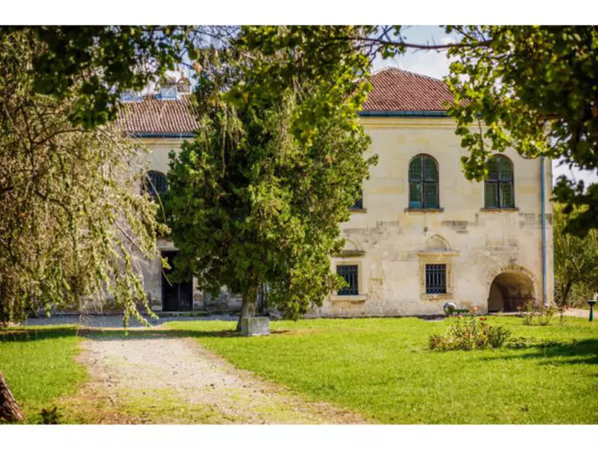 Casa natală a celei mai importante familii politice din țara noastră este scoasă la vânzare. Cât costă un castel în România