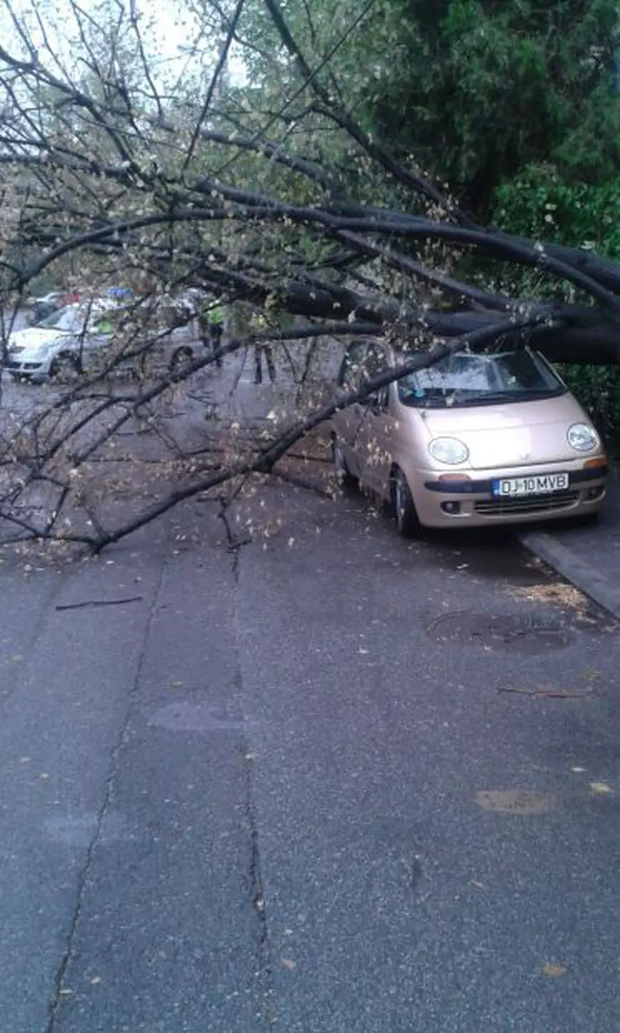 Parcurile din Craiova au fost închise din cauza precipitațiilor și a vântului puternic