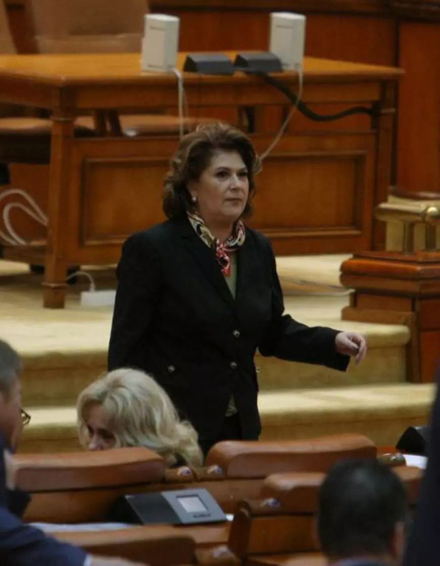 Bilanțul Parlamentului, în 2017: Salarii mărite, înjurături în plen, comisii de anchetă și salvarea imunității aleșilor cercetați penal