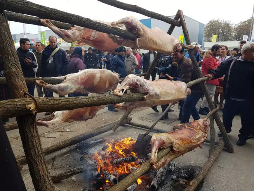 VIDEO/ În plină campanie ”Alege oaia!”, românii preferă porcul. Obiceiuri străvechi care ne urmăresc și azi