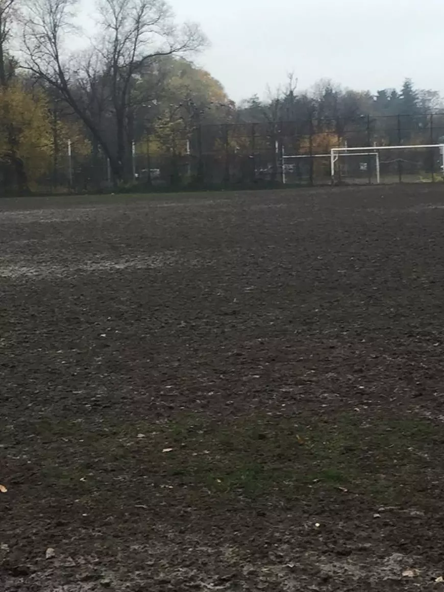 UPDATE. FRF se laudă cu loturi de Elită, dar juniorii joacă prin noroaie. Antrenor revoltat, amendat de AMFB | GALERIE FOTO