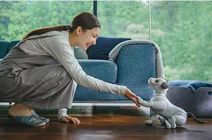 Cățelul-robot AIBO de la SONY se joacă cu ”stăpâna”