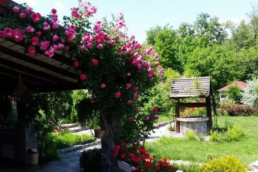 Cea mai scumpă vilă de vânzare în județul Vâlcea