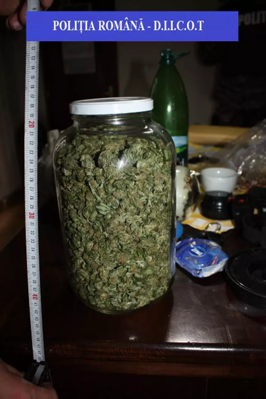 Câinele polițist Jef i-a ”mirosit” pe traficanți de stupefiante. Patrupedul mai are la activ zeci de misiuni în care a găsit cantități impresionante de droguri 