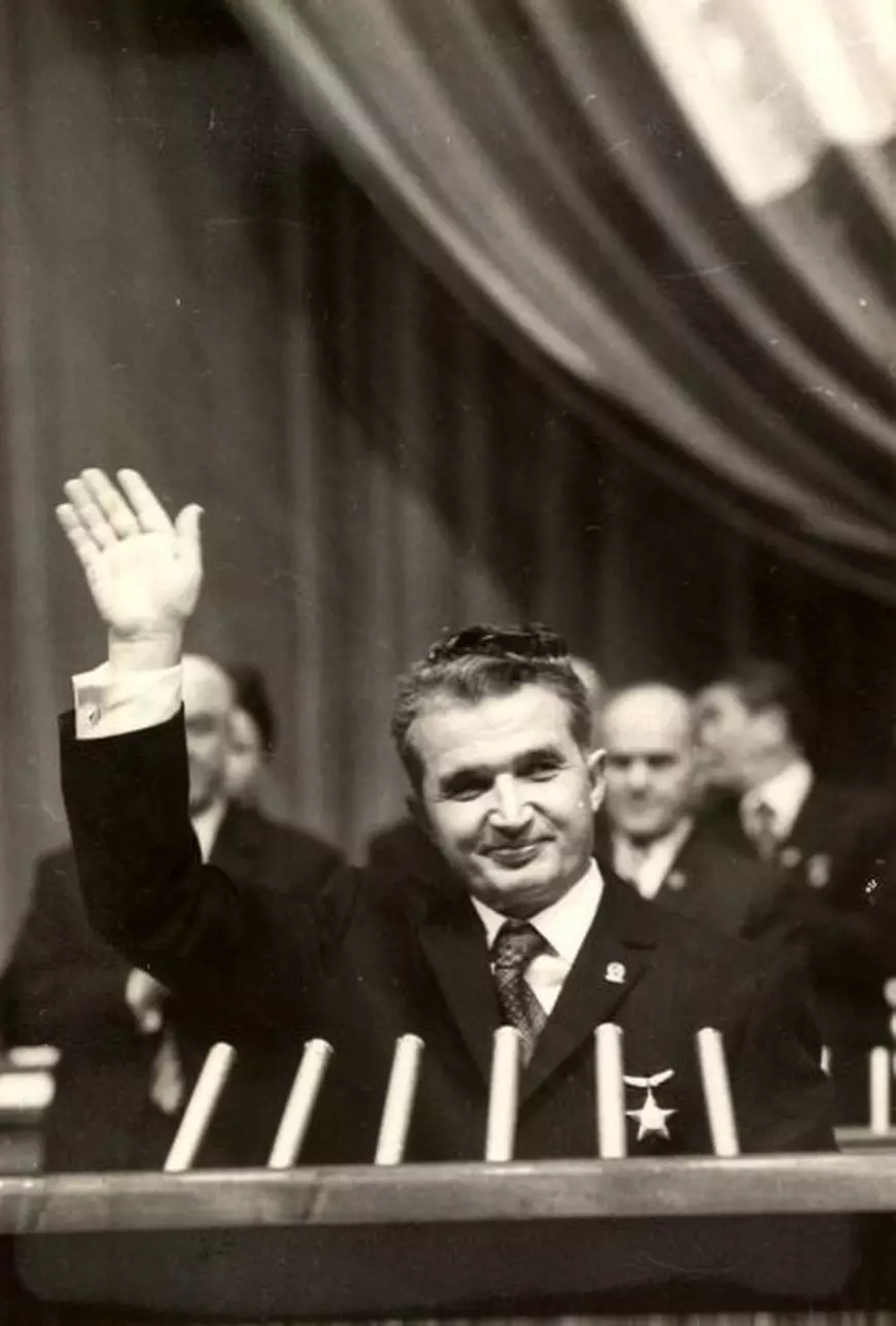 Plopul care ”a făcut” mere în decembrie 1989 și l-a dărâmat pe Ceaușescu