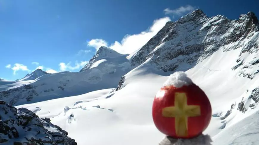 REPORTAJ/A trăit în munți cu sălbăticiunile. Nea Cârdei, omul care a adus pădurea în oraș