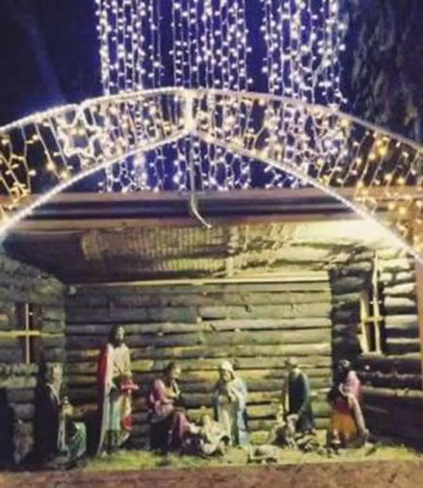 O văcuță din Moreni a mâncat din decorul de Crăciun amenajat în centrul orașului