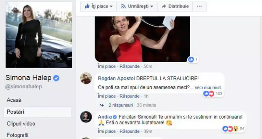 FOTO | Imaginea publicată recent pe Facebook de Simona Halep: "Sunt acasă în refacere alături de noul meu prieten"