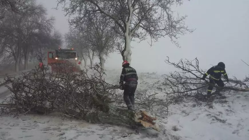 VIDEO&FOTO| Județul Tulcea a fost grav afectat din cauza viscolului și a zăpezii